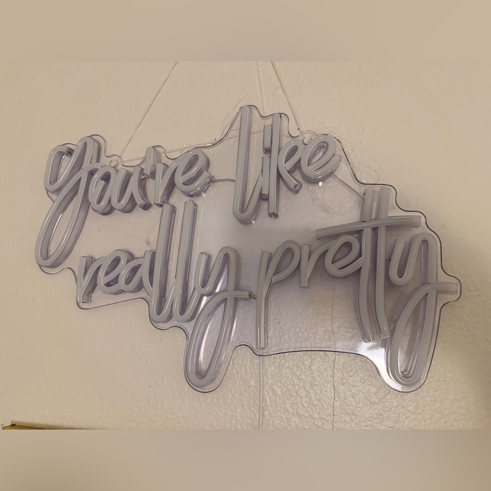 Clear Acrylic 'You're the Really Pretty' Wall Sign in Neutral
